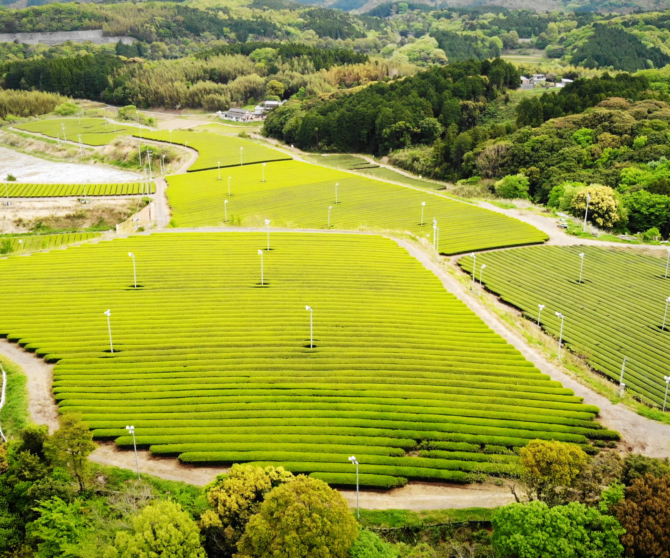 第3圃場　畑圃場